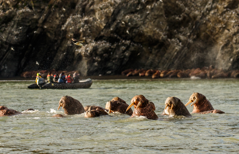 Kamchatka Adventure Continued