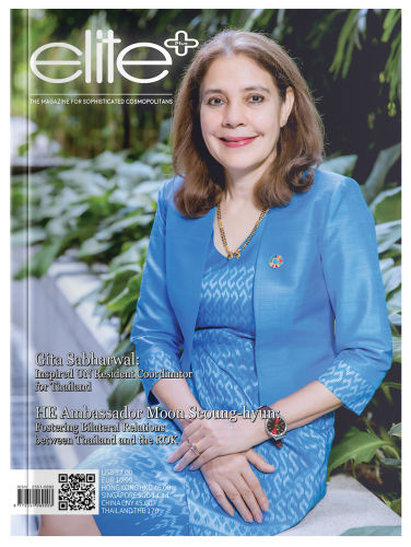 Gita Sabharwal : Inspired UN Resident Coordinator for Thailand