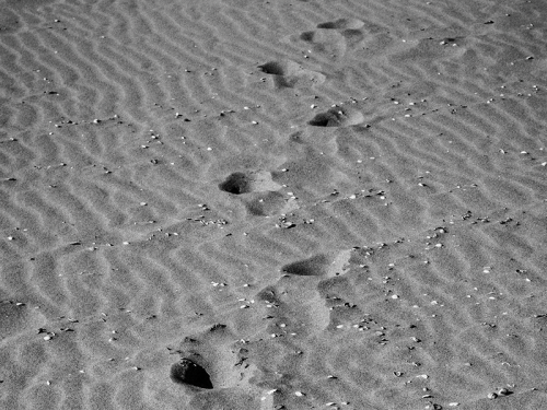 Footsteps