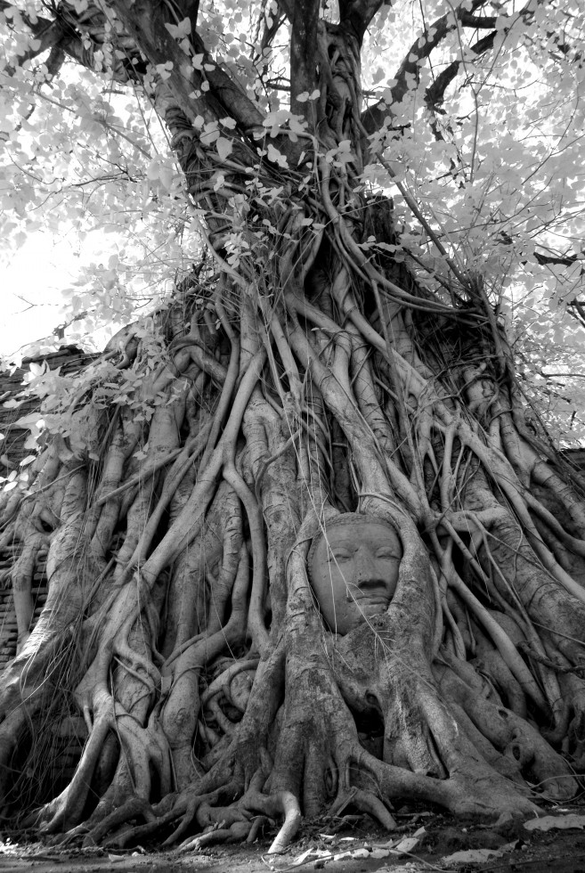 Phra Nakhon Si Ayutthaya Historical Park, Ayutthaya