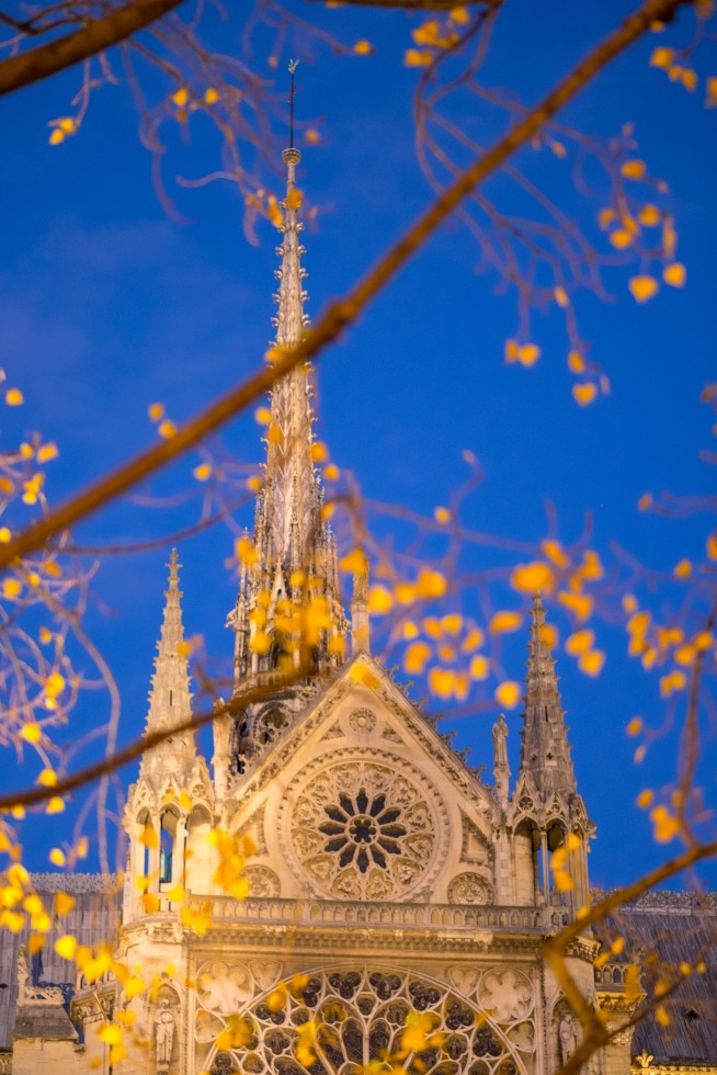 With its beautiful scenery, under blue sky, Paris offers a senes of freedom, a feeling that everything is possible.