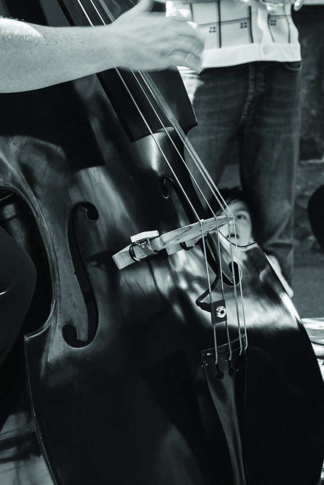 Contrabass. Street music, Melbourne, Australia.