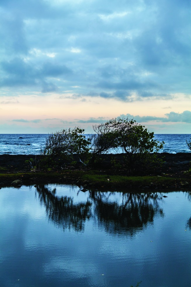 Hilo, Hawaii: And trees are running and then water, wind, stand still, painting earth’s image
