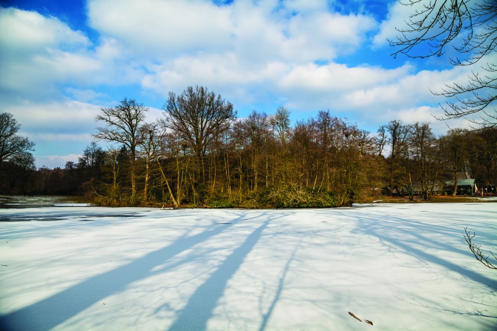 Arnhem, Netherlands: Crushed in frozen light flicking shadows of branches sepulchred in snow