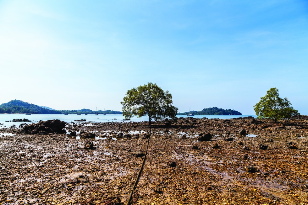 The rocky beach at Ao Khao Kwai opposite the driftwood ensemble of the Hippy Bar.