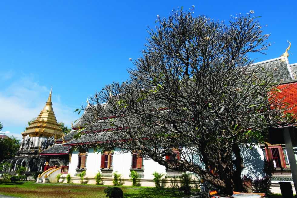 Wat Chiang Man, the oldest Buddhist temple in the city, dating from the 13th century.