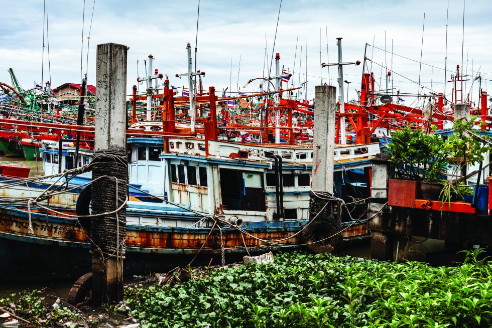 The fishing fleet is grounded by rough seas, but there is still life on the Pattani River.