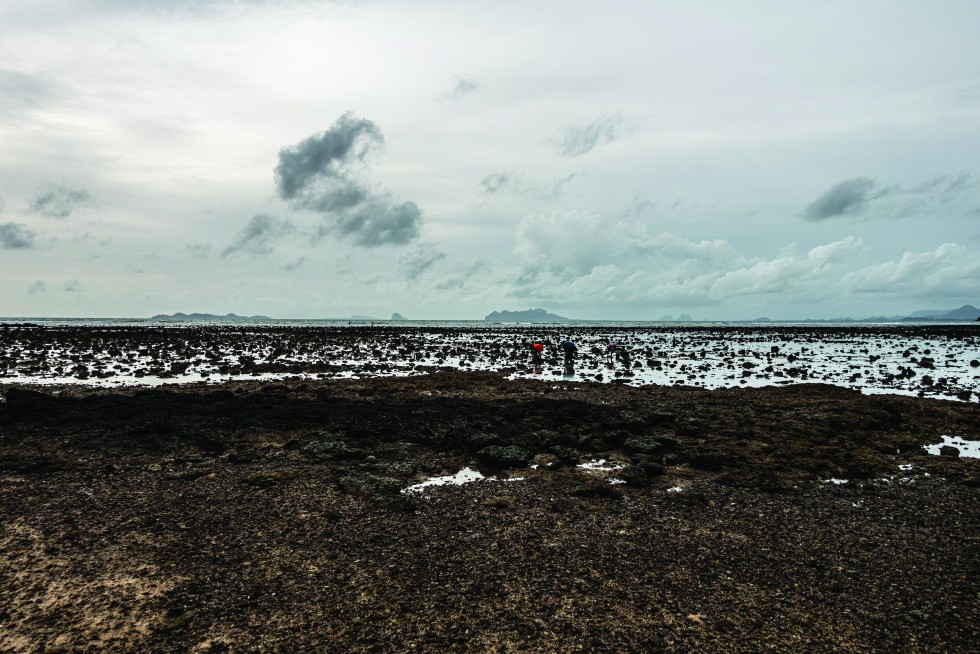 Low tide grounds boats and exposes vast swathes of rock to shellfish collectors.