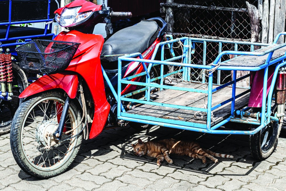 Local children offer directions, and a cat hides from the fierce midday sun.