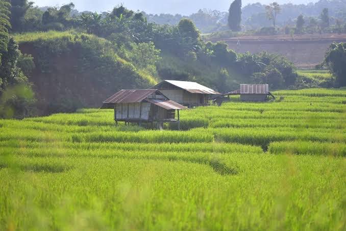 Baan Khun Pae: As Spectacular as the Swiss Alps