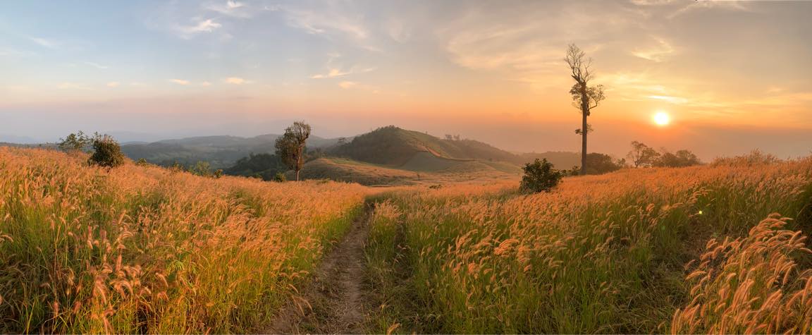 Baan Khun Pae: As Spectacular as the Swiss Alps