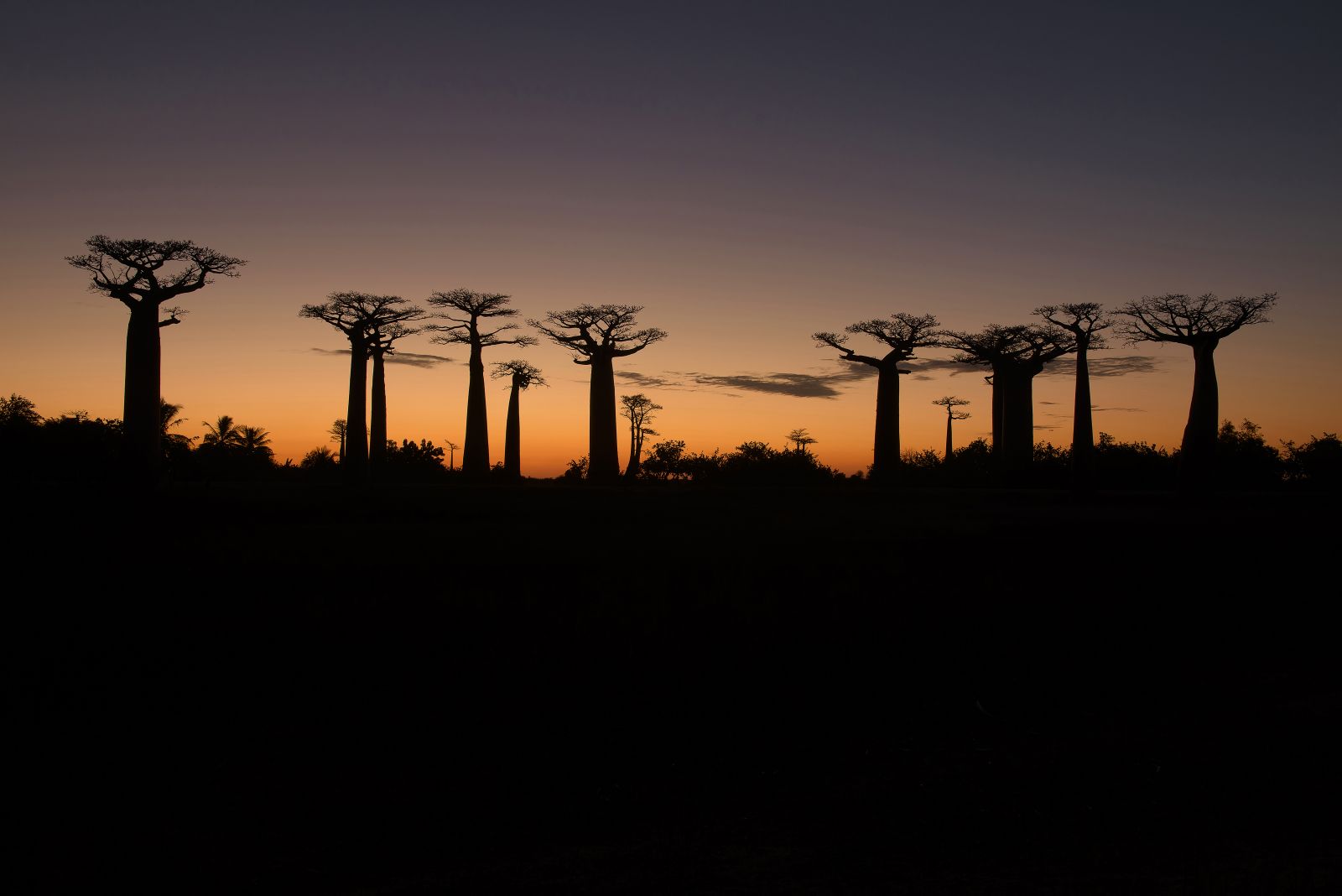 NAVIGATING MADAGASCAR