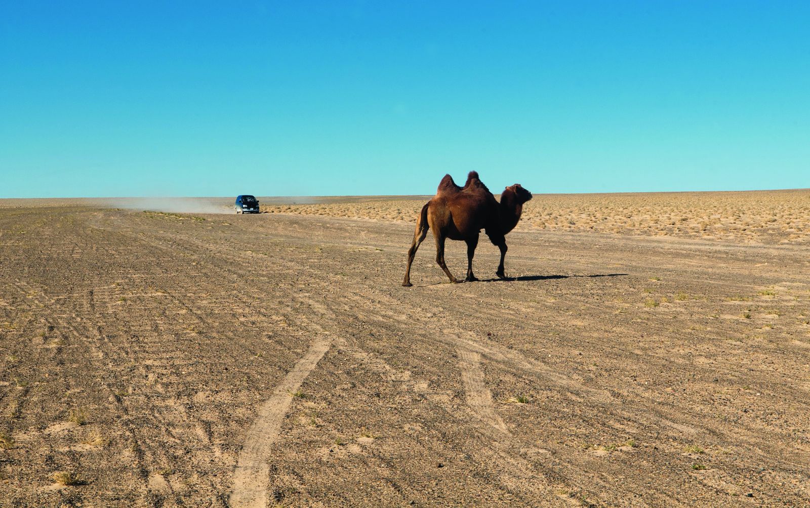 MONGOLIA’S GOBI DESERT