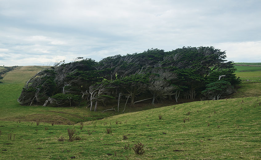 The mystical setting of the Lord of the Ring films, New Zealand's South Island
