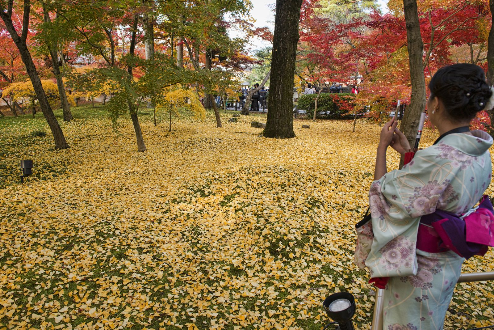 A week in Kyoto, Japan’s city of temples