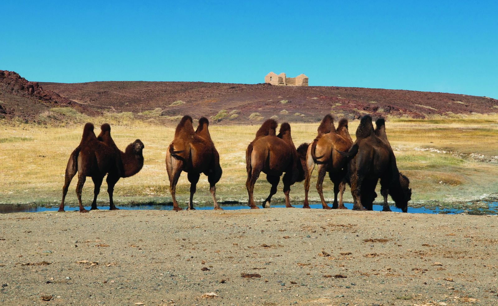 MONGOLIA’S GOBI DESERT