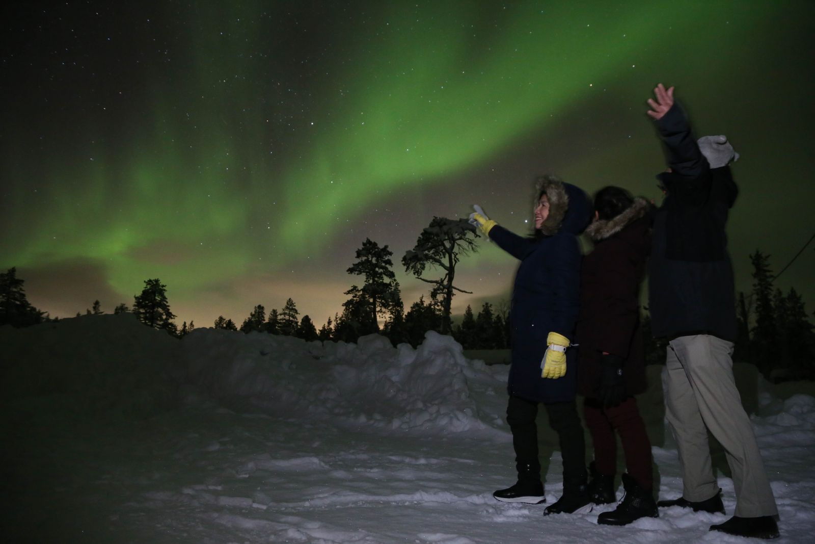 Dancing Aurora