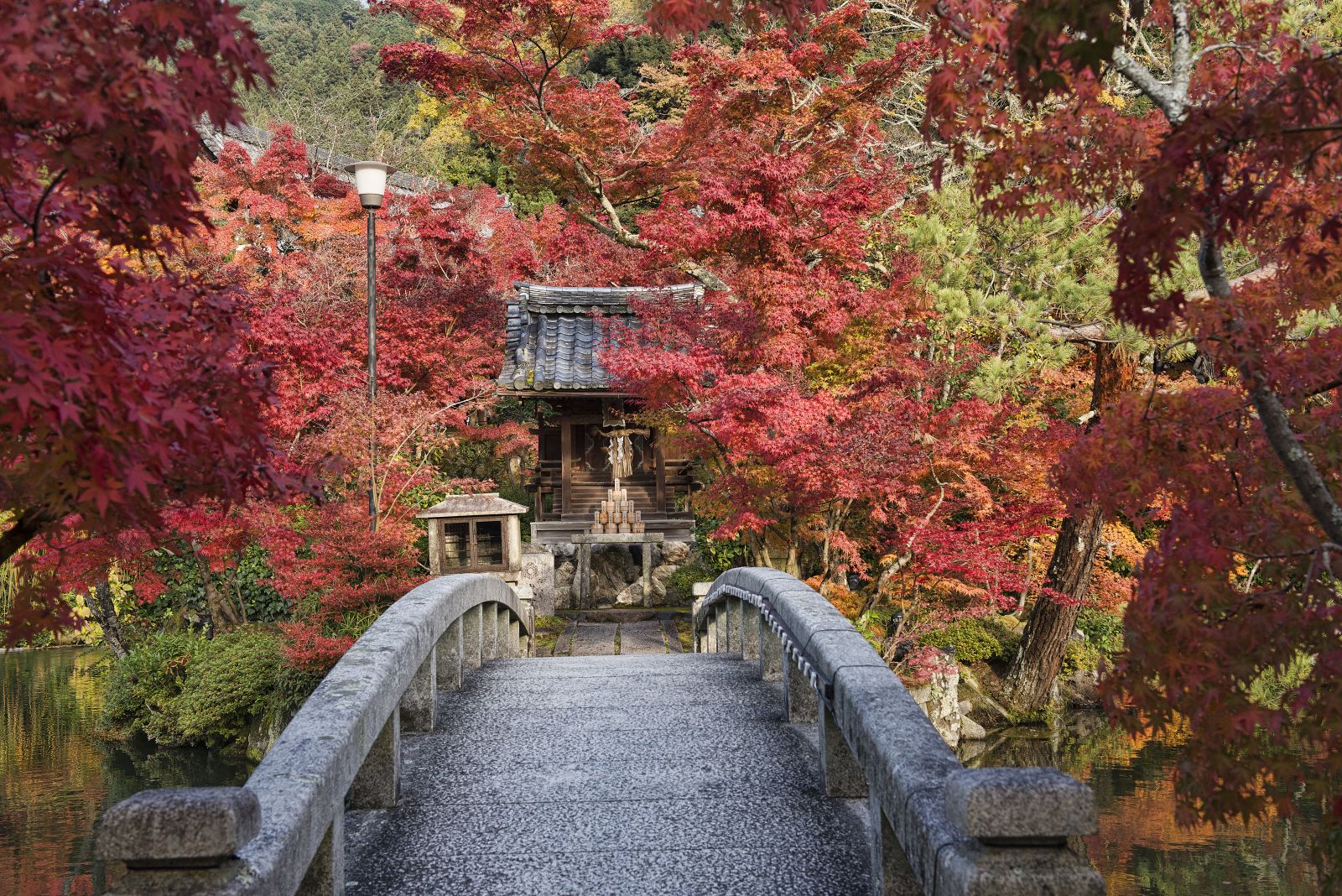 A week in Kyoto, Japan’s city of temples