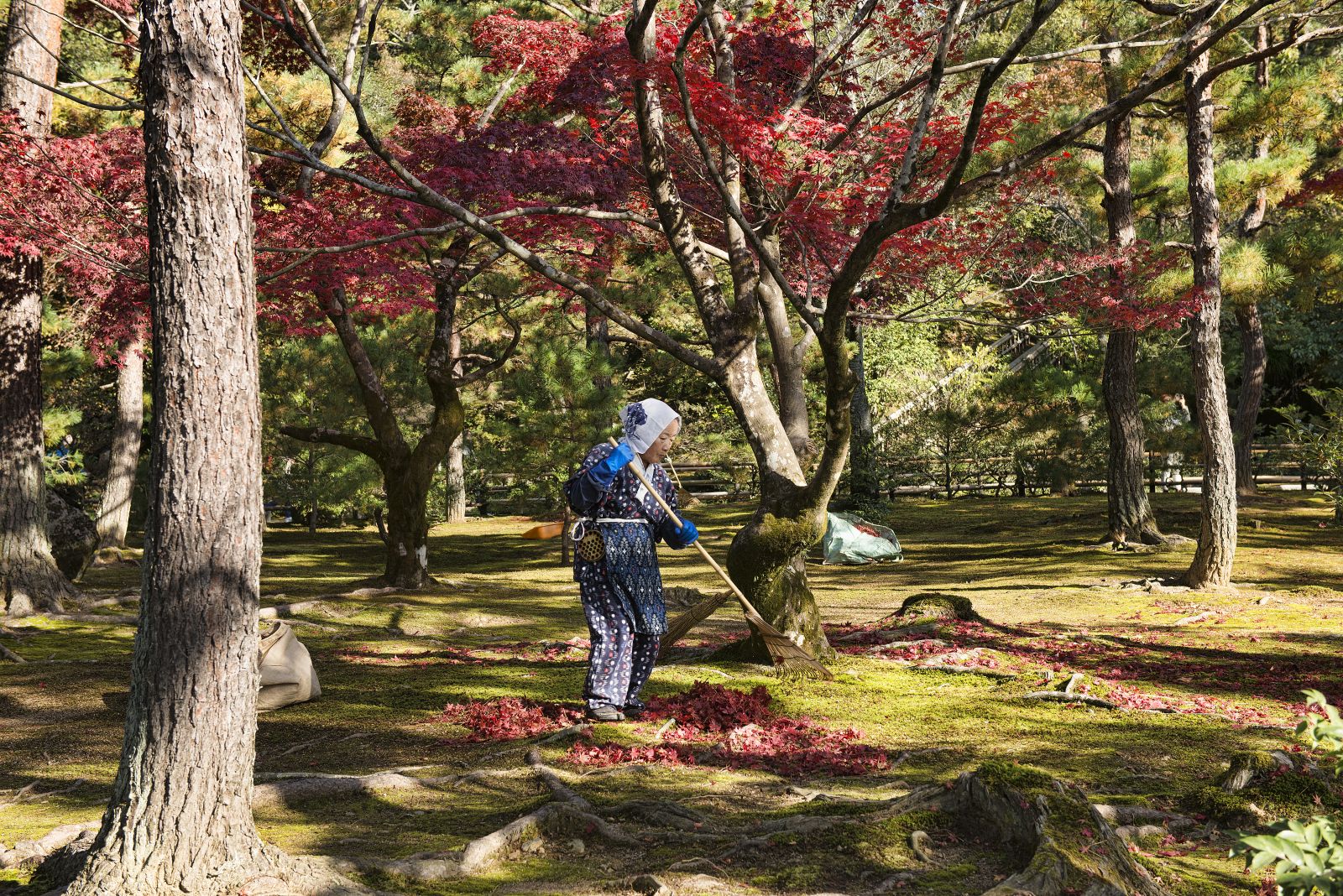 A week in Kyoto, Japan’s city of temples