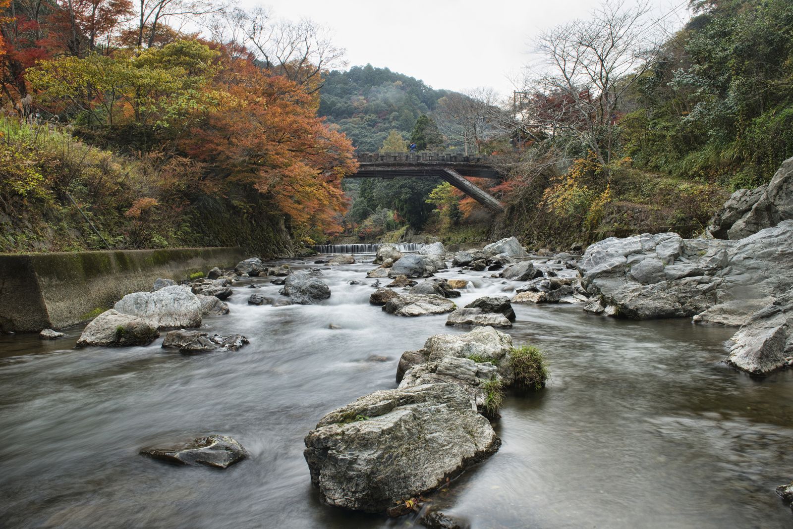 A week in Kyoto, Japan’s city of temples