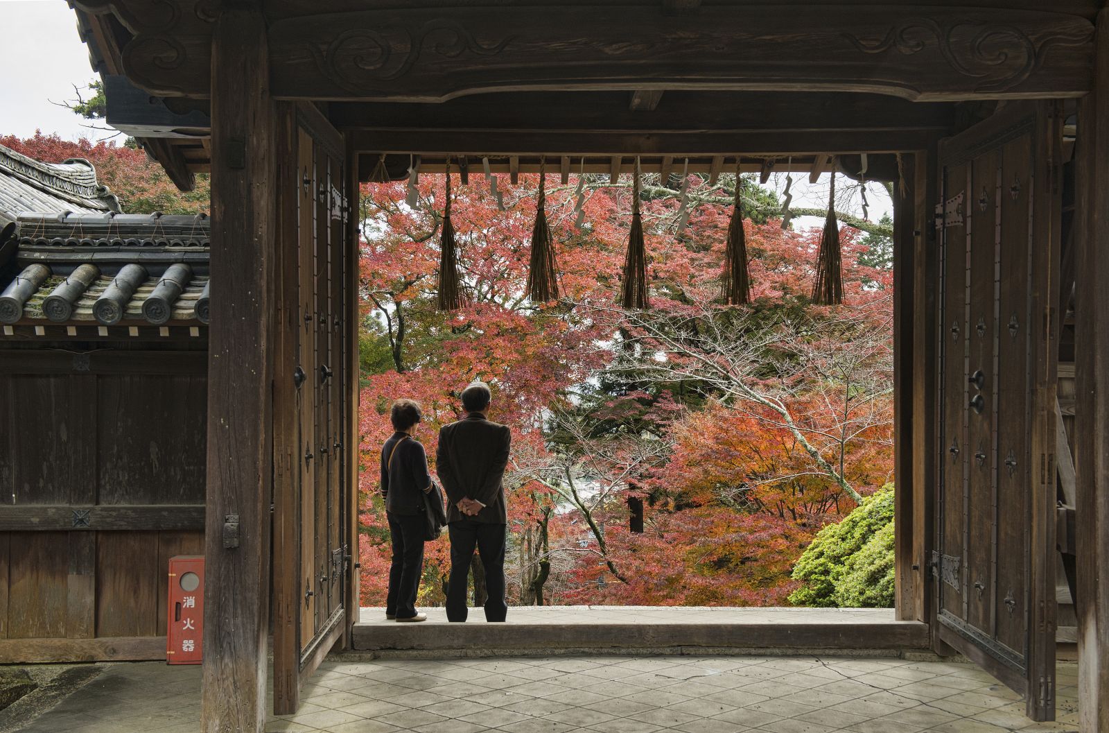 A week in Kyoto, Japan’s city of temples