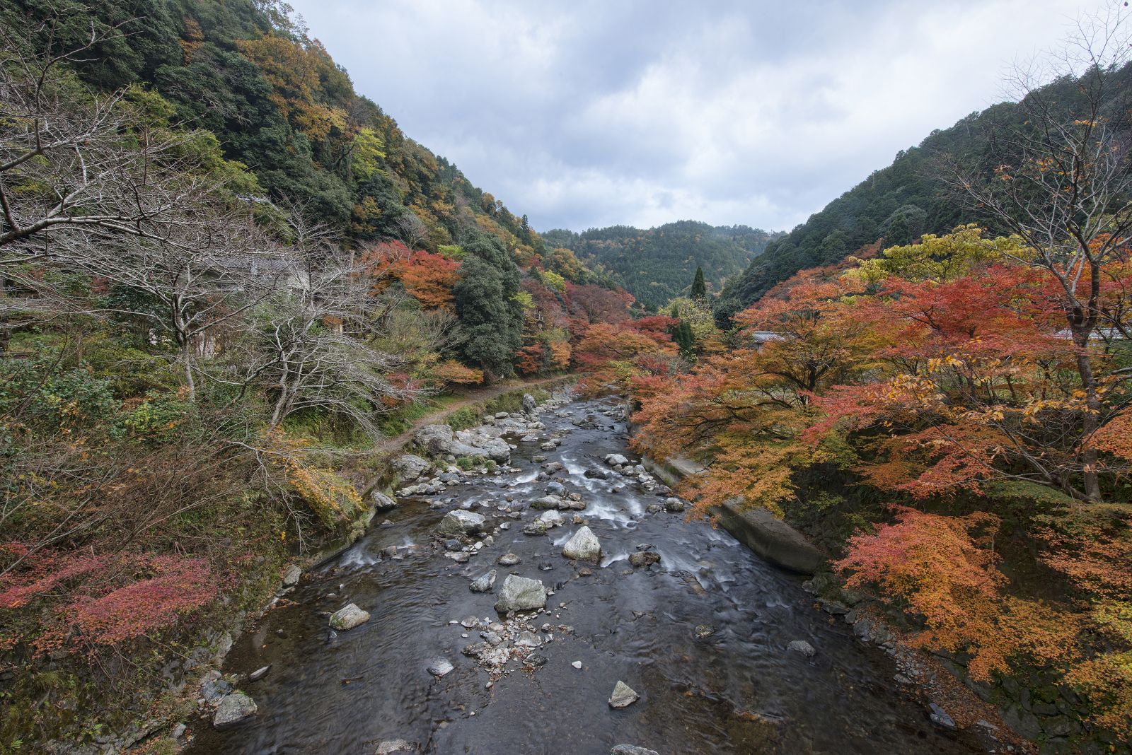 A week in Kyoto, Japan’s city of temples