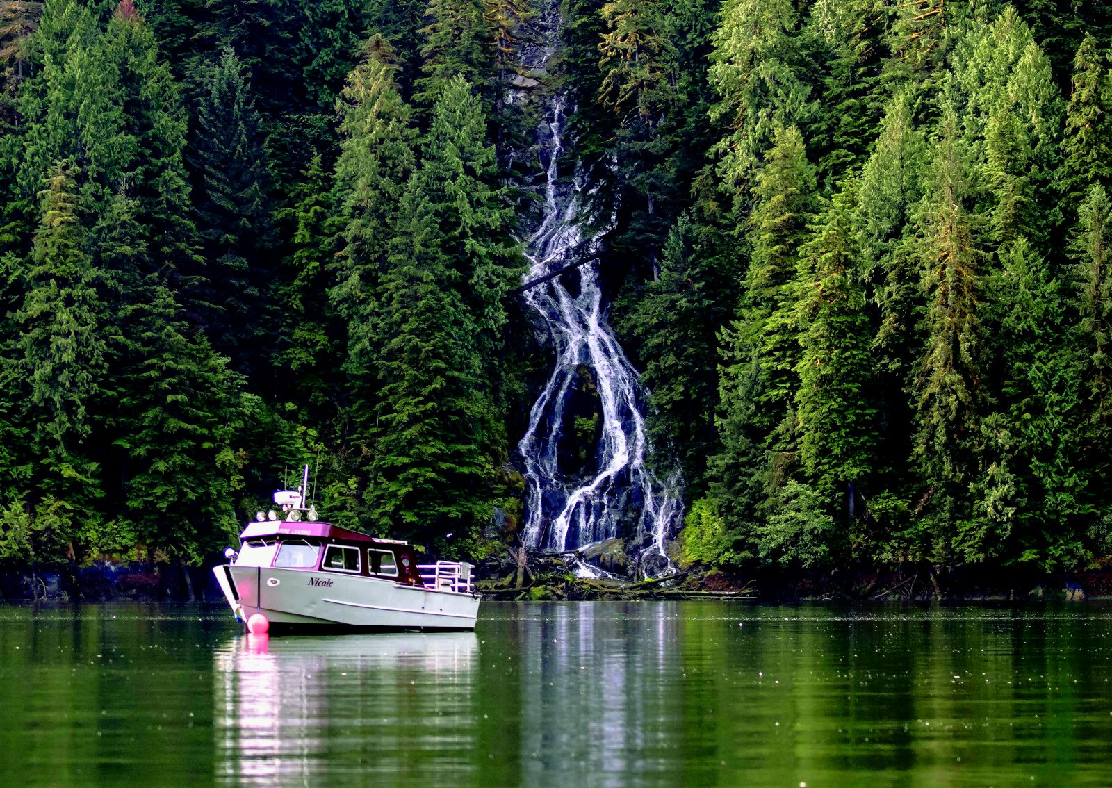 Great Bear Rainforest