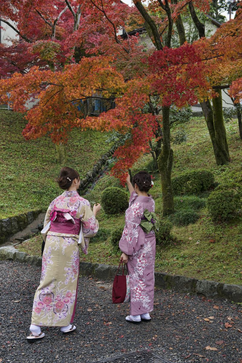 A week in Kyoto, Japan’s city of temples