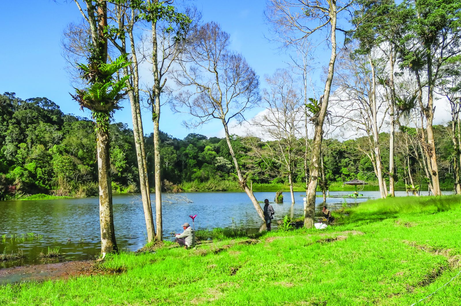 Lake Tambling Sulawesi