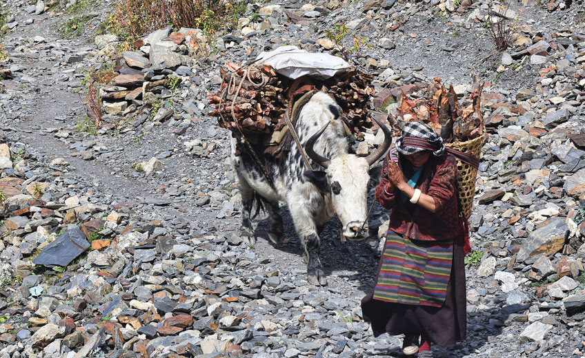 Nepal's Everest Base Camp