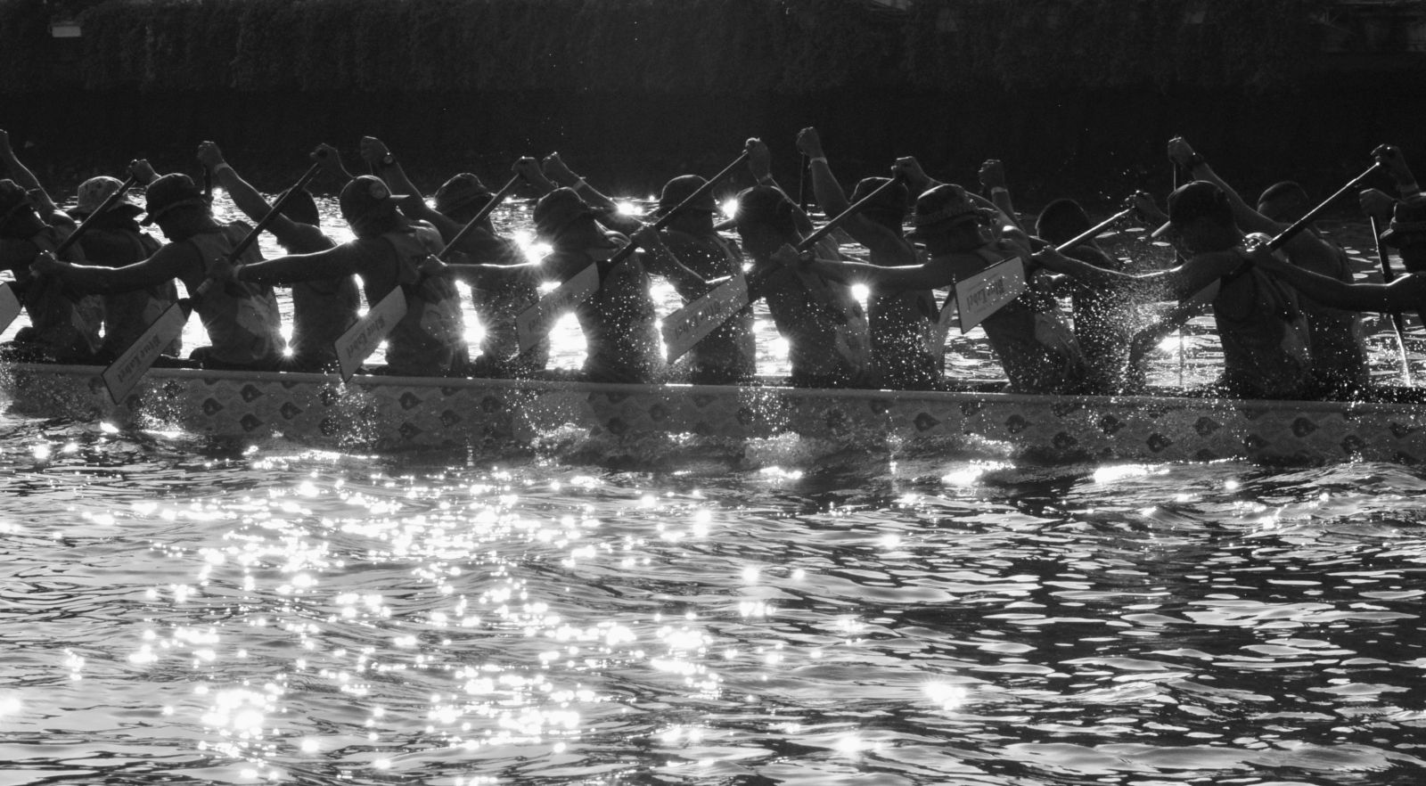 Rowers sparkle in the sunlight