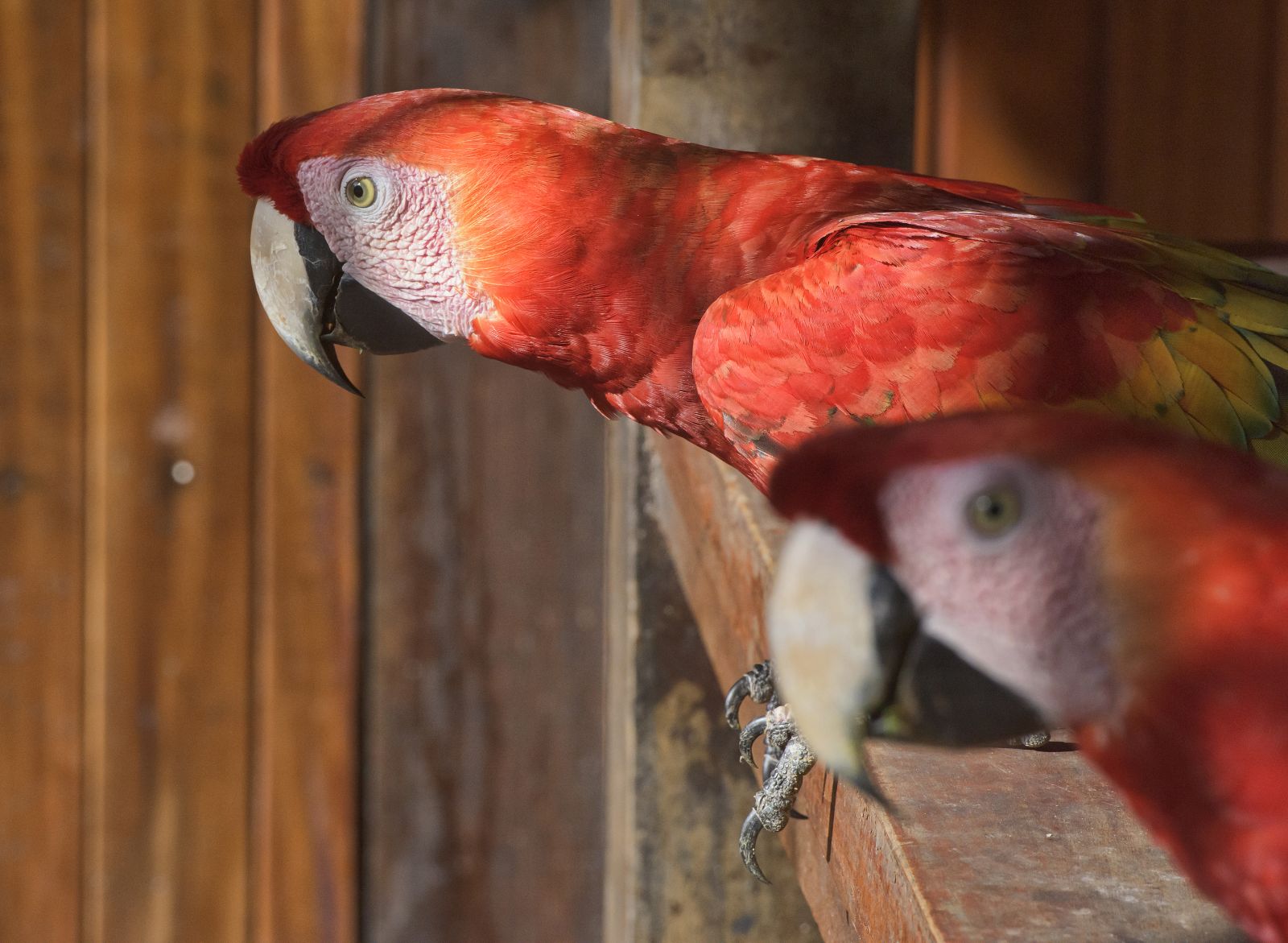 River Life: Adventures in the Peruvian Amazon