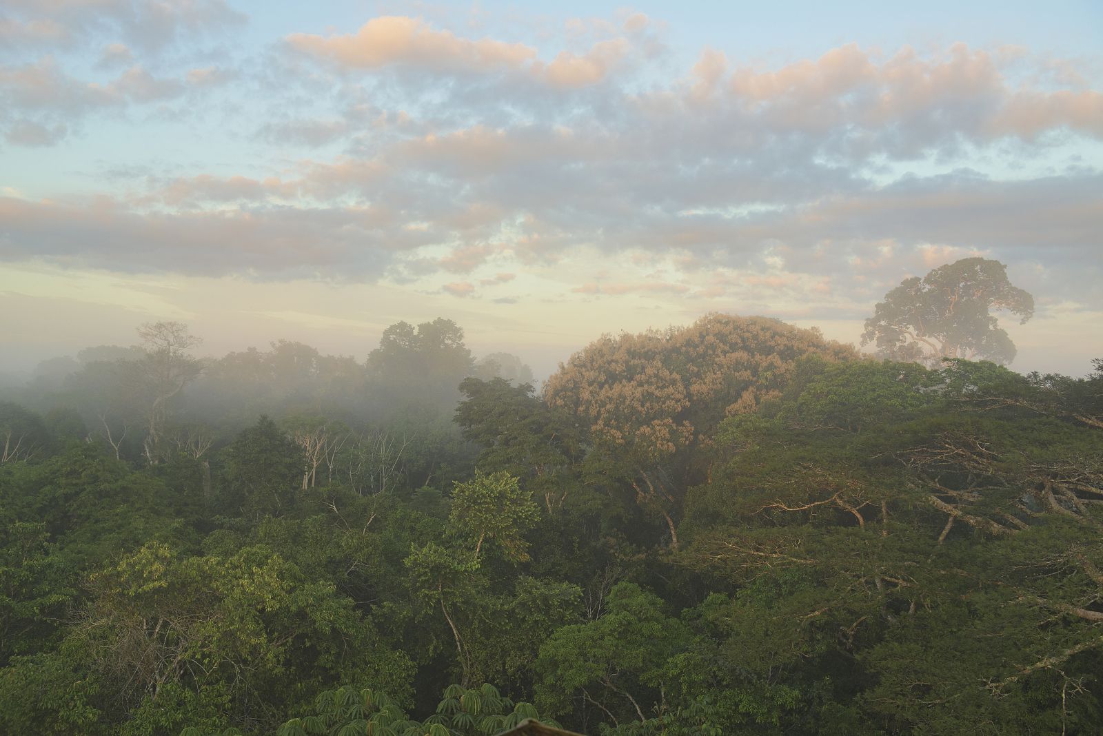 River Life: Adventures in the Peruvian Amazon