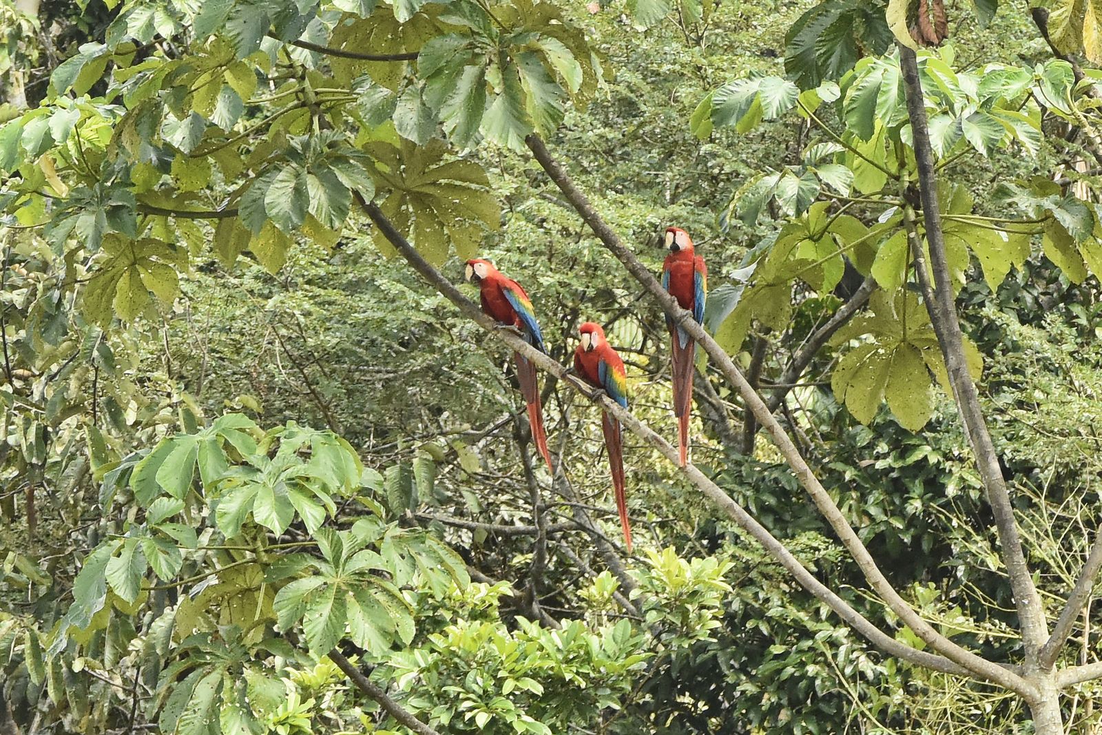 River Life: Adventures in the Peruvian Amazon