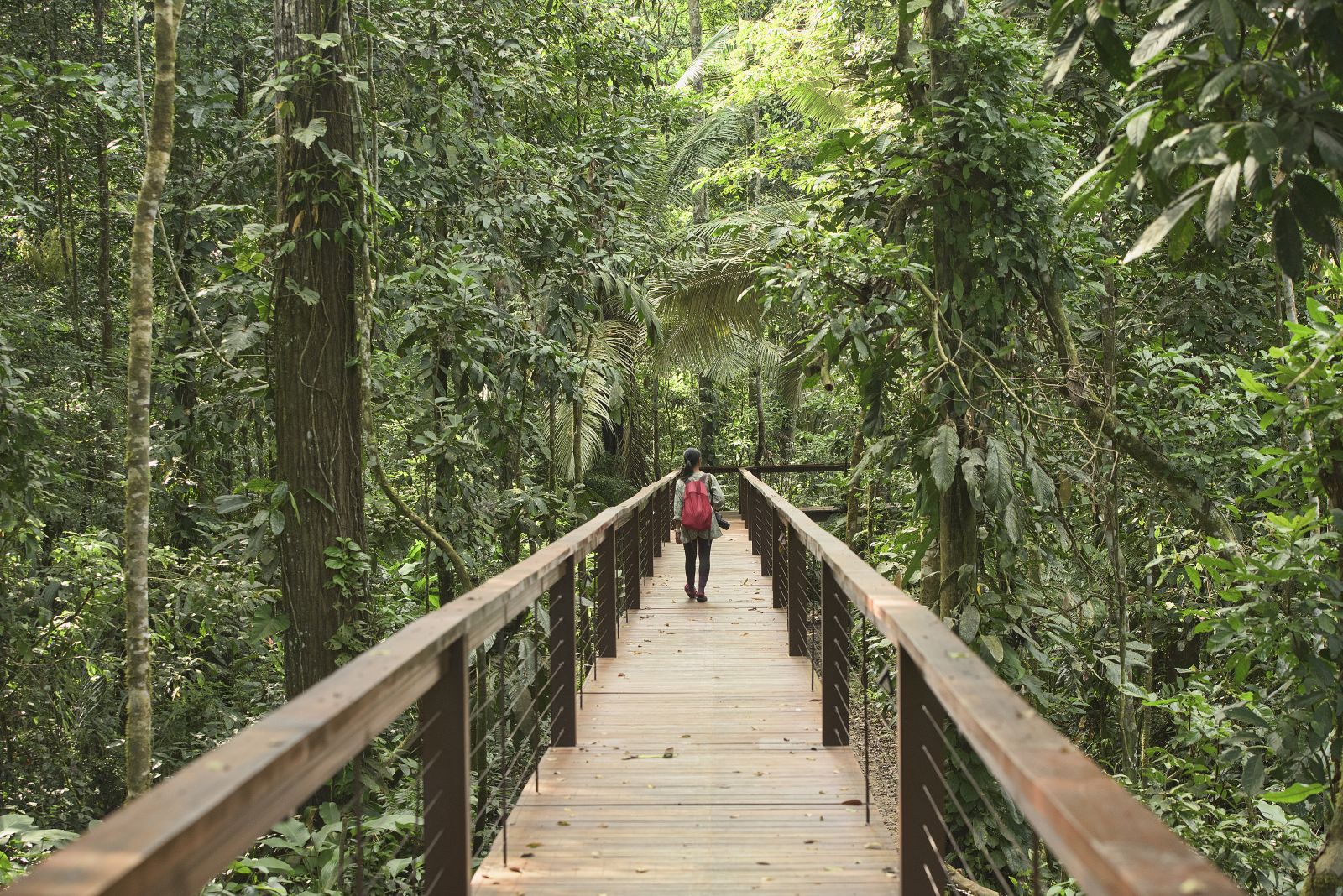 River Life: Adventures in the Peruvian Amazon