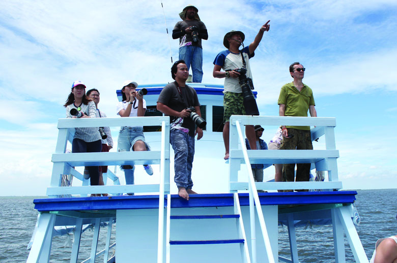 Whale Watching in the Gulf of Thailand 