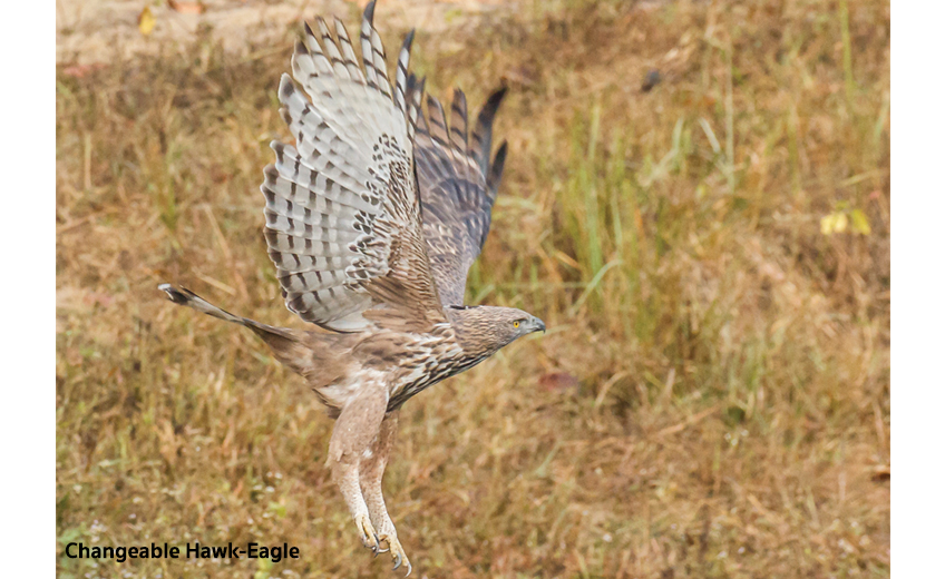 Kanha National Park