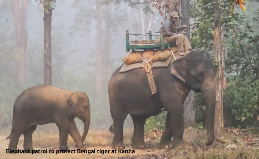 Kanha National Park