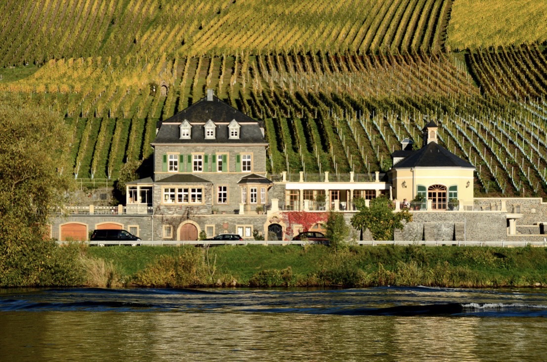 Revival of German Riesling Wine