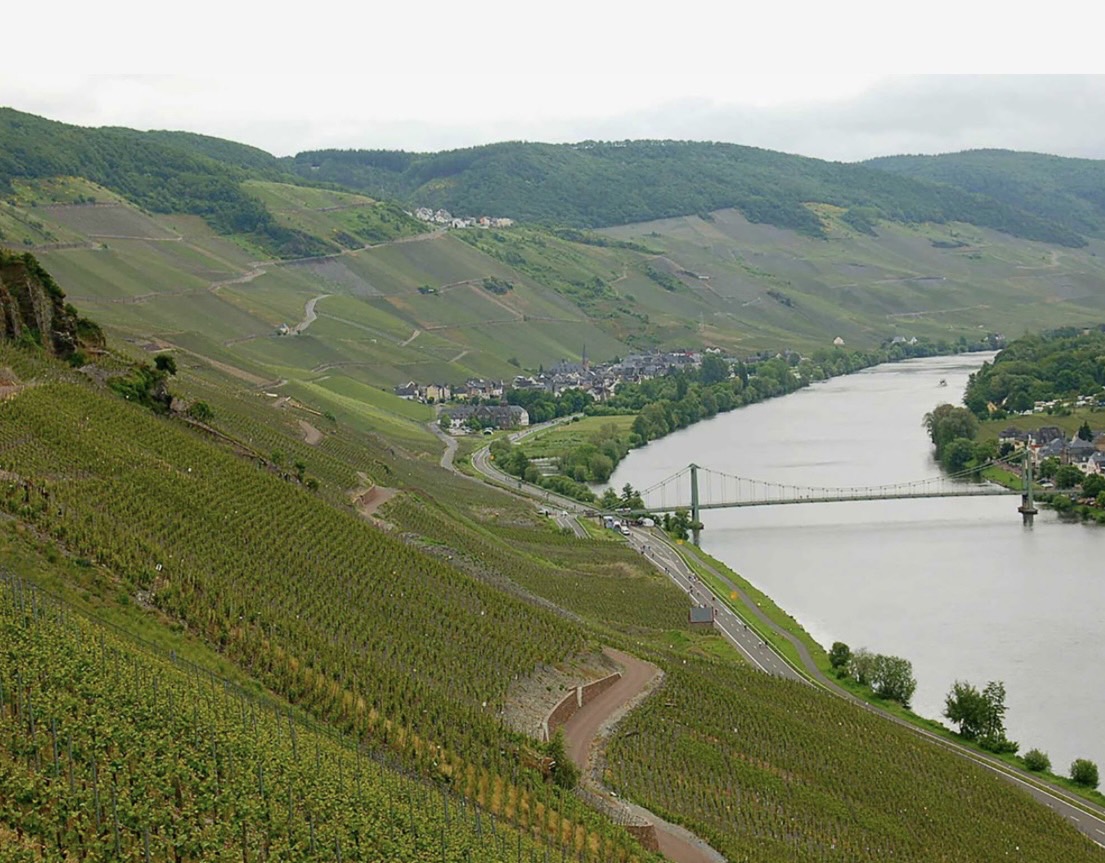 Revival of German Riesling Wine