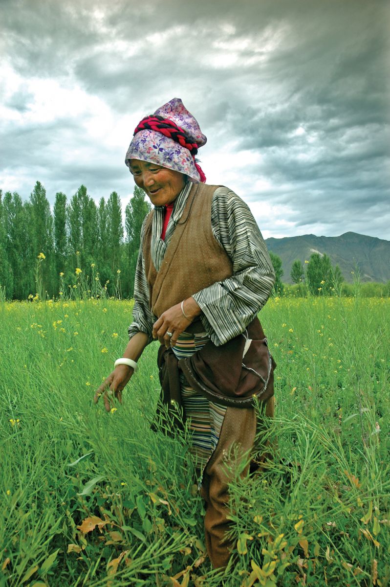 The Lure Of Tibet