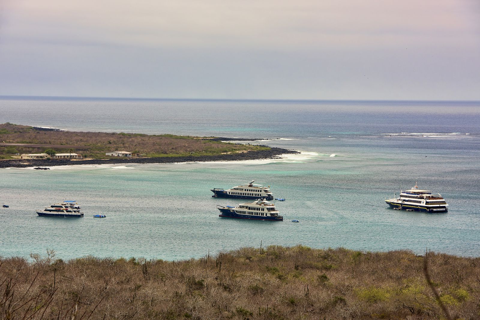 Enchanted Island Dreaming